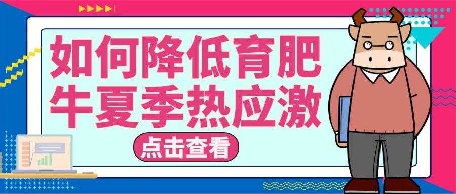 從管理和營養(yǎng)上教會你如何應(yīng)對育肥牛夏季熱應(yīng)激