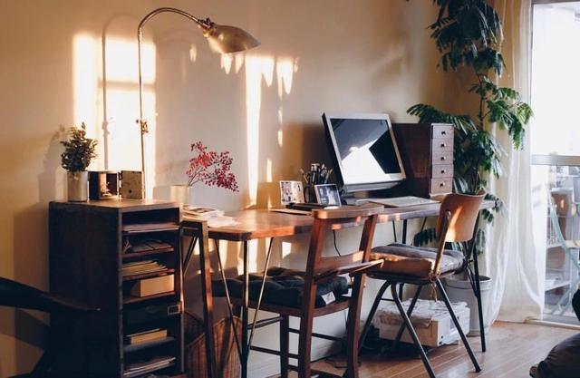 日本室内设计师家居内部照木质家具植物添彩屋内充满高级感