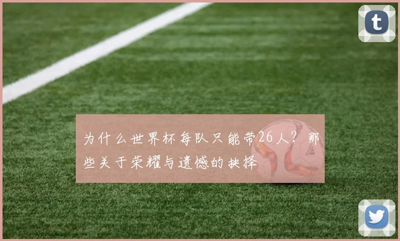 为什么世界杯每队只能带26人？那些关于荣耀与遗憾的抉择