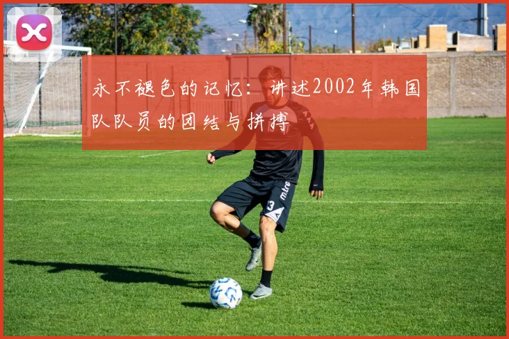 永不褪色的记忆：讲述2002年韩国队队员的团结与拼搏