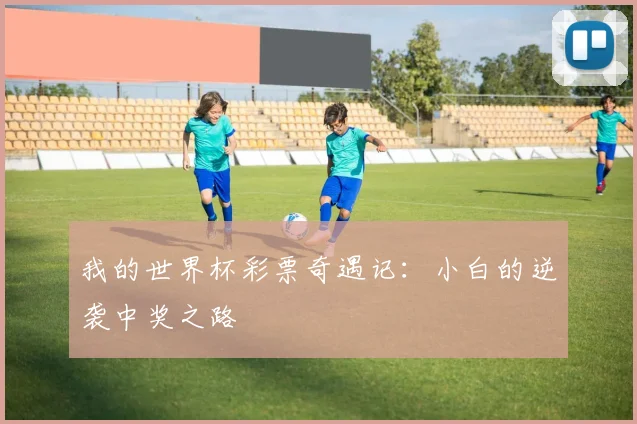 我的世界杯彩票奇遇记：小白的逆袭中奖之路