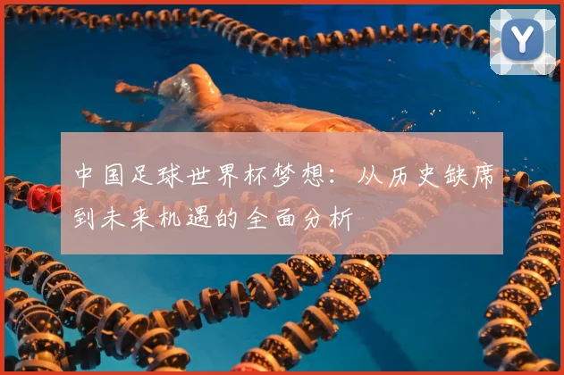 中国足球世界杯梦想:从历史缺席到未来机遇的全面分析