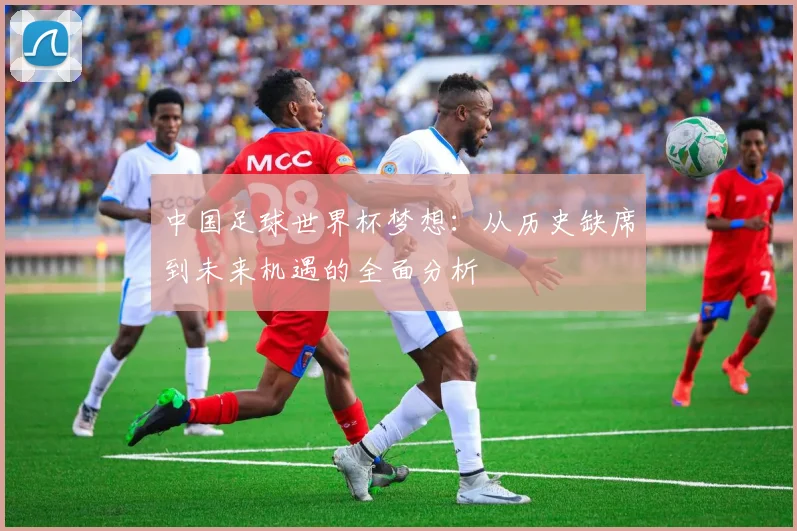 中国足球世界杯梦想:从历史缺席到未来机遇的全面分析